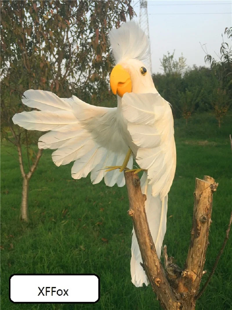 new real life white wings parrot model foam&feather simulation hello cockatoo bird gift about 30x45cm xf0259