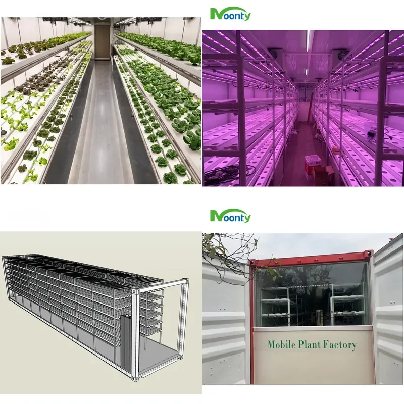 for Intelligent NFT Farm Vertical Hydroponics Transport Aquaculture Container NFT Hydroponics System