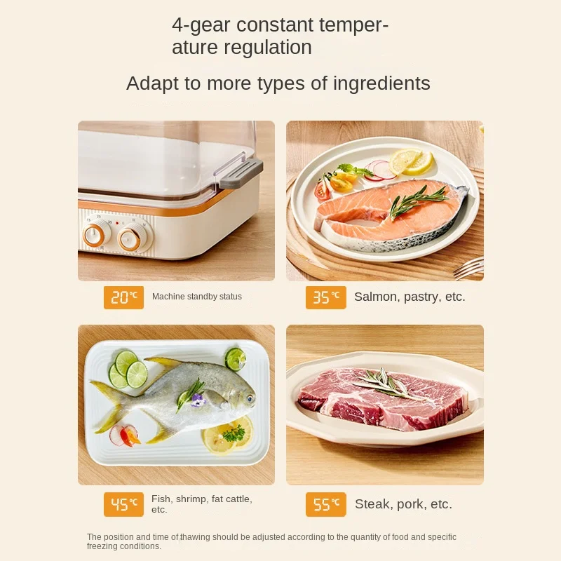 5L Capacity Household Constant Temperature Rapid Ice Thaw Master PTC Heating Food Defroster Frozen Meat Steak Rapid Thawing Tray