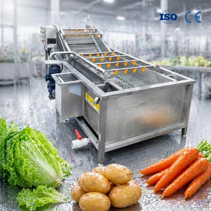 High Pressure Spray Apple Fruit Cleaner Lettuce Vegetable Bubble Washer with Ozone Washing Equipment Conveyor Custom