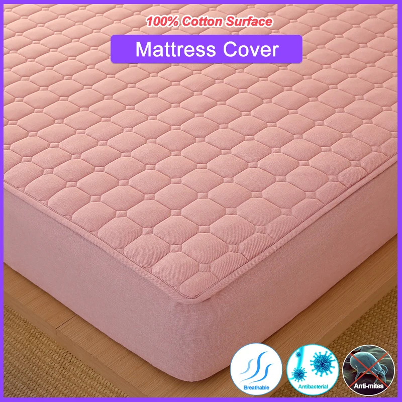 Yarn-Dyed Washed Co…