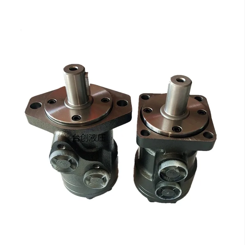 

Hydraulic Oil Motor Mold Cycloid RMR-50 80 100 125 160 200 250 315 Two Holes