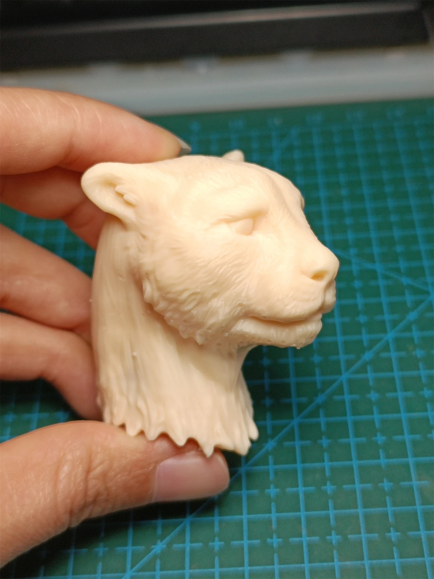 1/6 1/12 Unpainted Acinonyx Jubatus Cheetah Panther Head Carved Model Toys DIY Animal Action Figure