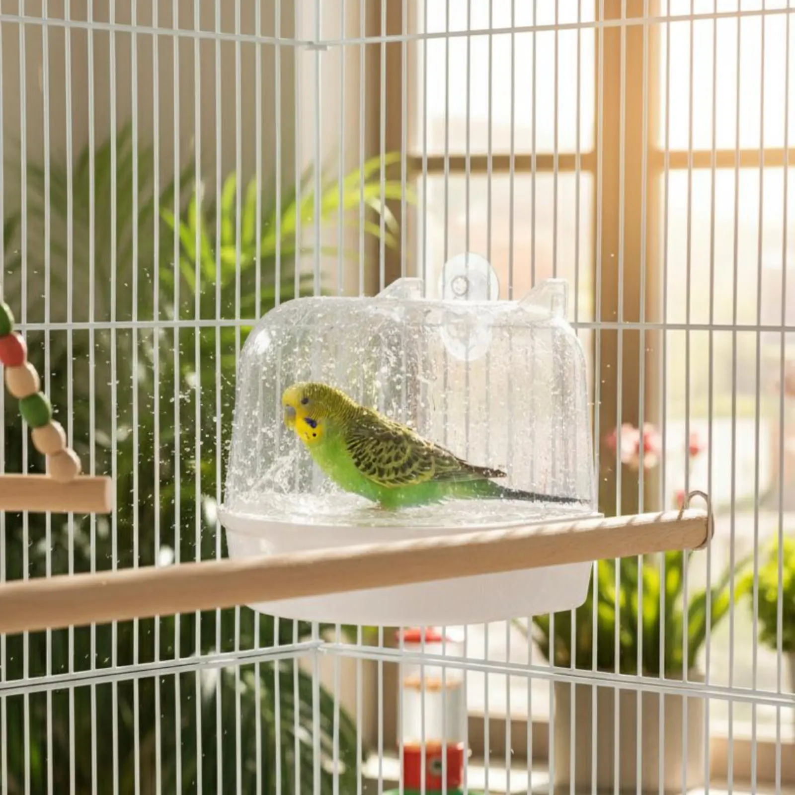 

Transparent Avian Bathing Tub Large Space Covered Parrot Bath Pet Supply Multi-Functional