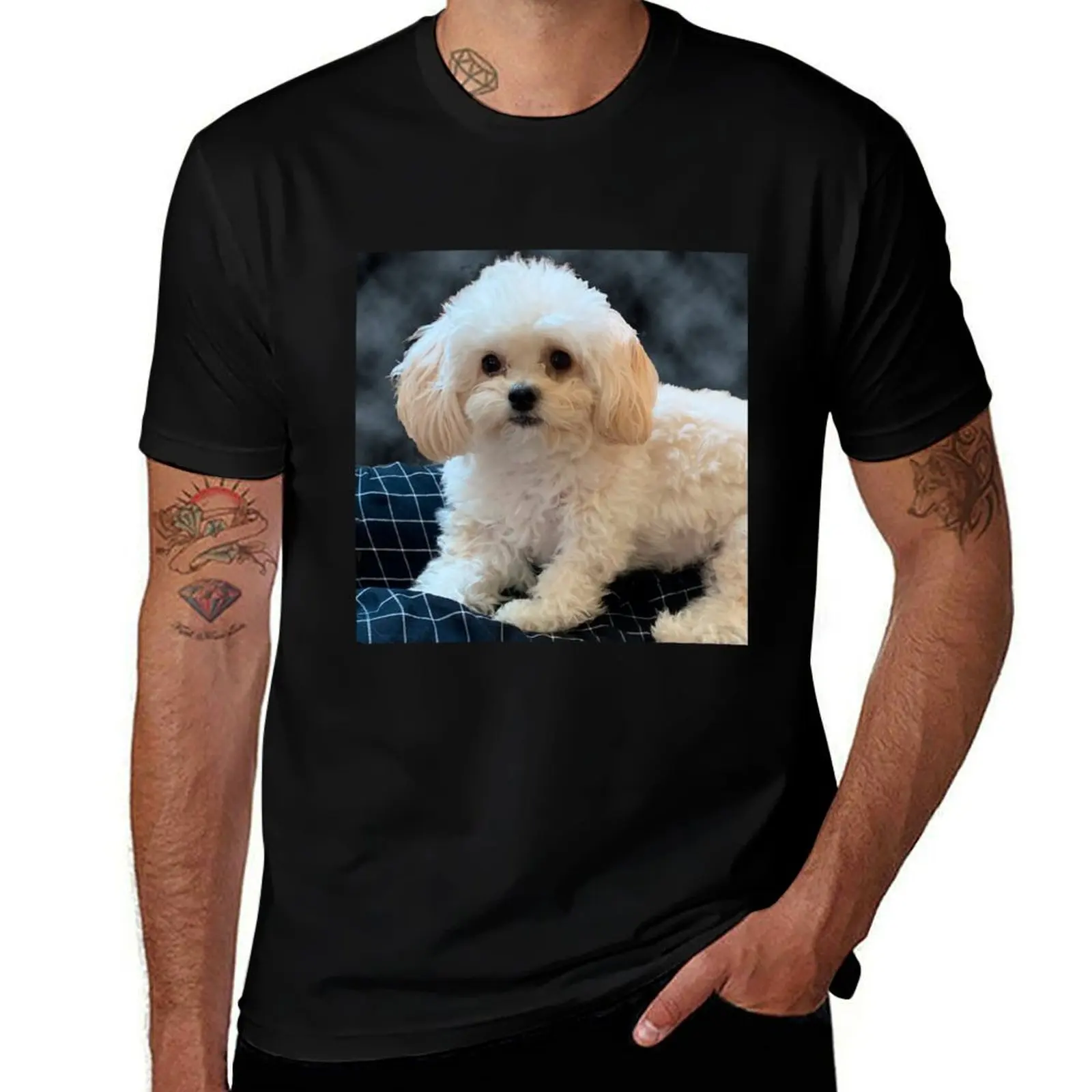 Maltipoo Love. Beautiful little dog with long silky white hair. T-Shirt Performance Dry Fit T-Shirt