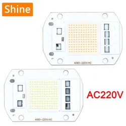 Alta luminosità LED COB Chip CSP lampada perline 50W LED Matrix AC 220V Smart IC illuminazione esterna proiettore lampadina faretto fai da te