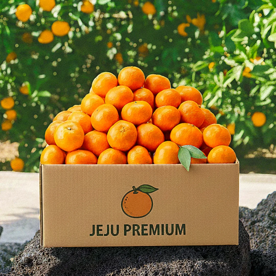 [خاص لفترة محدودة] محتوى السكر اليوسفي جيجو المحدد، حجم كبير 3/5 كجم