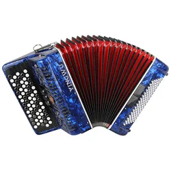 China parrot 69 keys 96 5 Register bass diatonic button accordion piano Bayan musical instrument for beginner perform