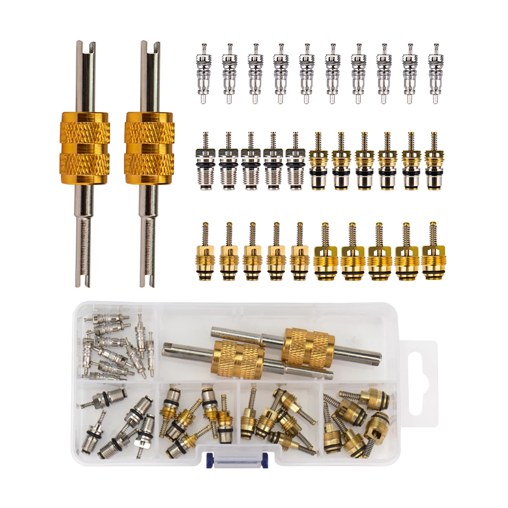 

Valve Core with 2 Way Remover Tool Kits Set for Regal,Beverly,Volkswagen,Toyota,Honda,Elantra,R134a R12
