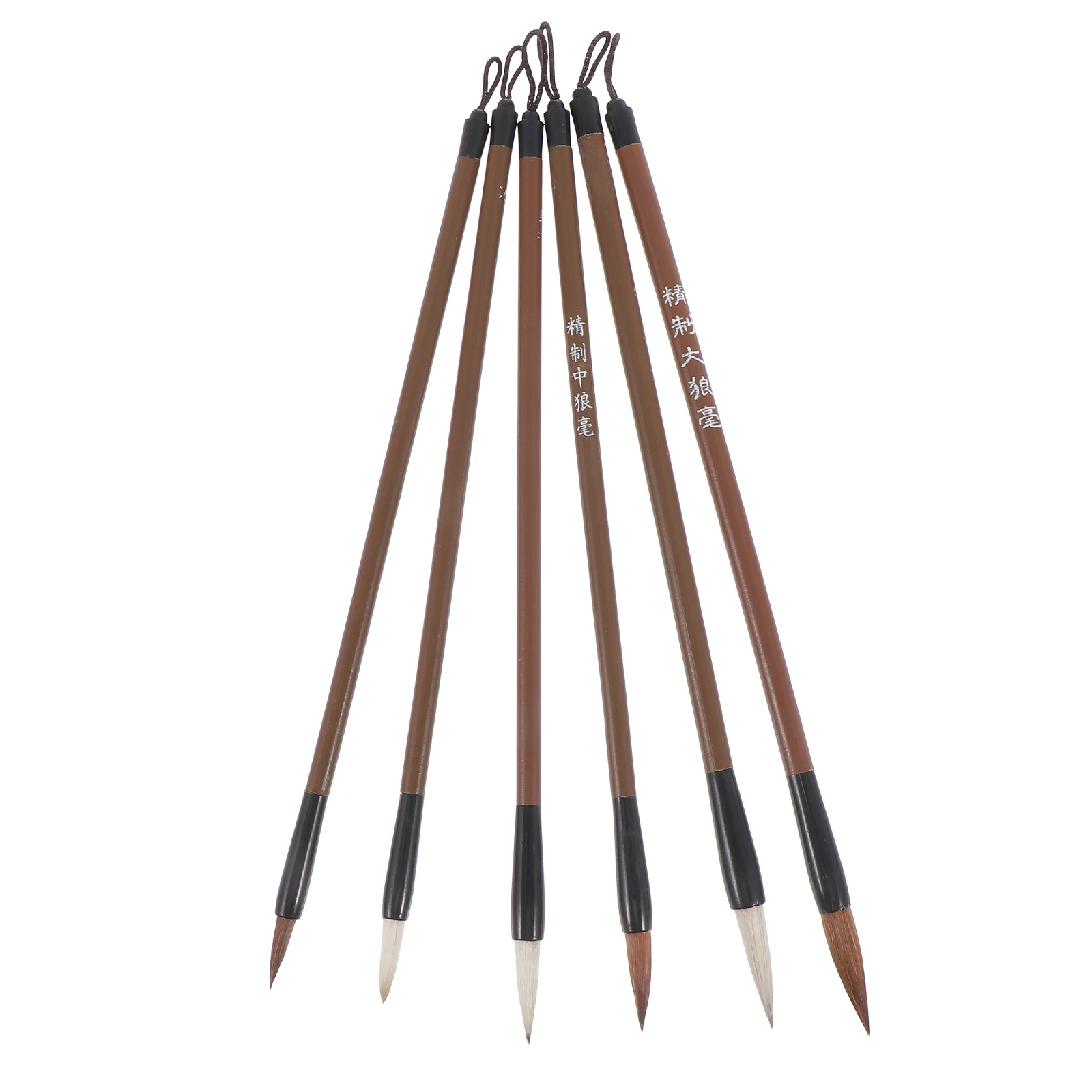 

6 Pcs Writing Brush Paintbrushes Practical Pen Chinese Calligraphy Nail Students Ink Wolf Hair Portable Travel