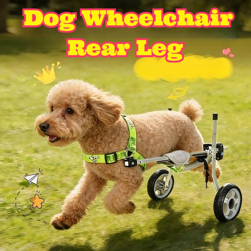 

Dog Wheelchair Rear Leg Support Hind Limb Assistance Pet Mobility Aid Rehabilitation Helper Exercise Support Adjustable Small
