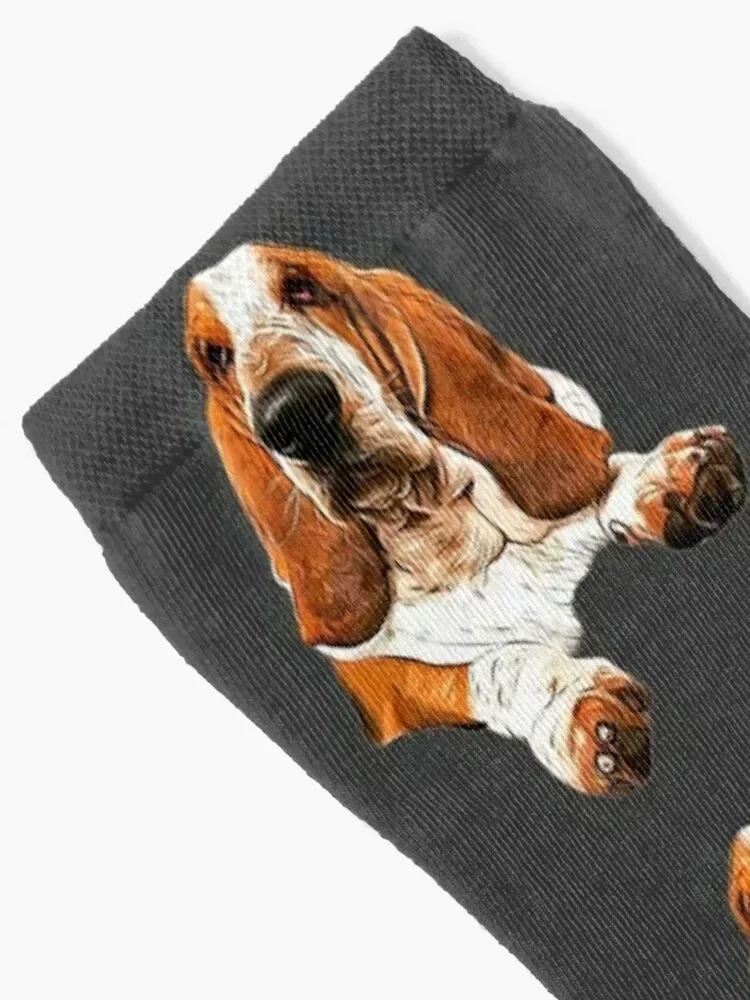 Basset Hound - The Gorgeous Look! Socks sheer sport compression hiphop Socks For Girls Men's