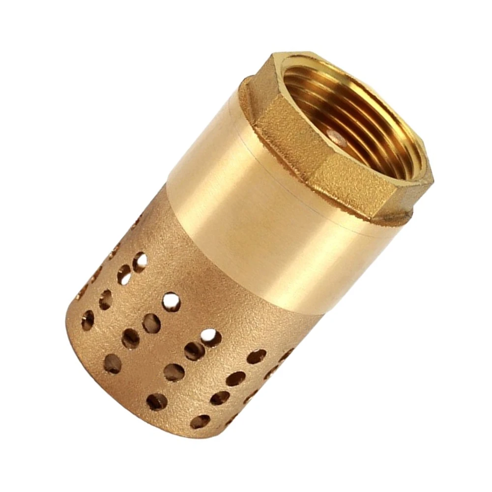 1 inch Brass Foot Valve with Fine Mesh Filtration for Sand and Particle Exclusion in Pump Suction Applications