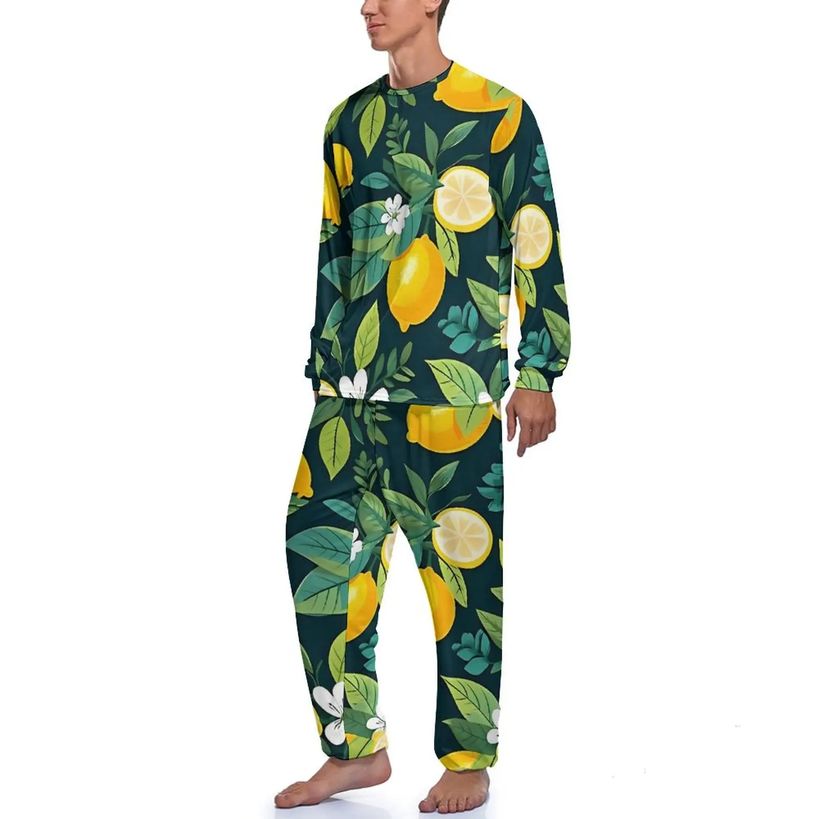 Fruit Print Lemons Pajamas Spring 2 Piece Tropical Leaves Retro Pajama Sets Male Long-Sleeve Aesthetic Printed Home Suit