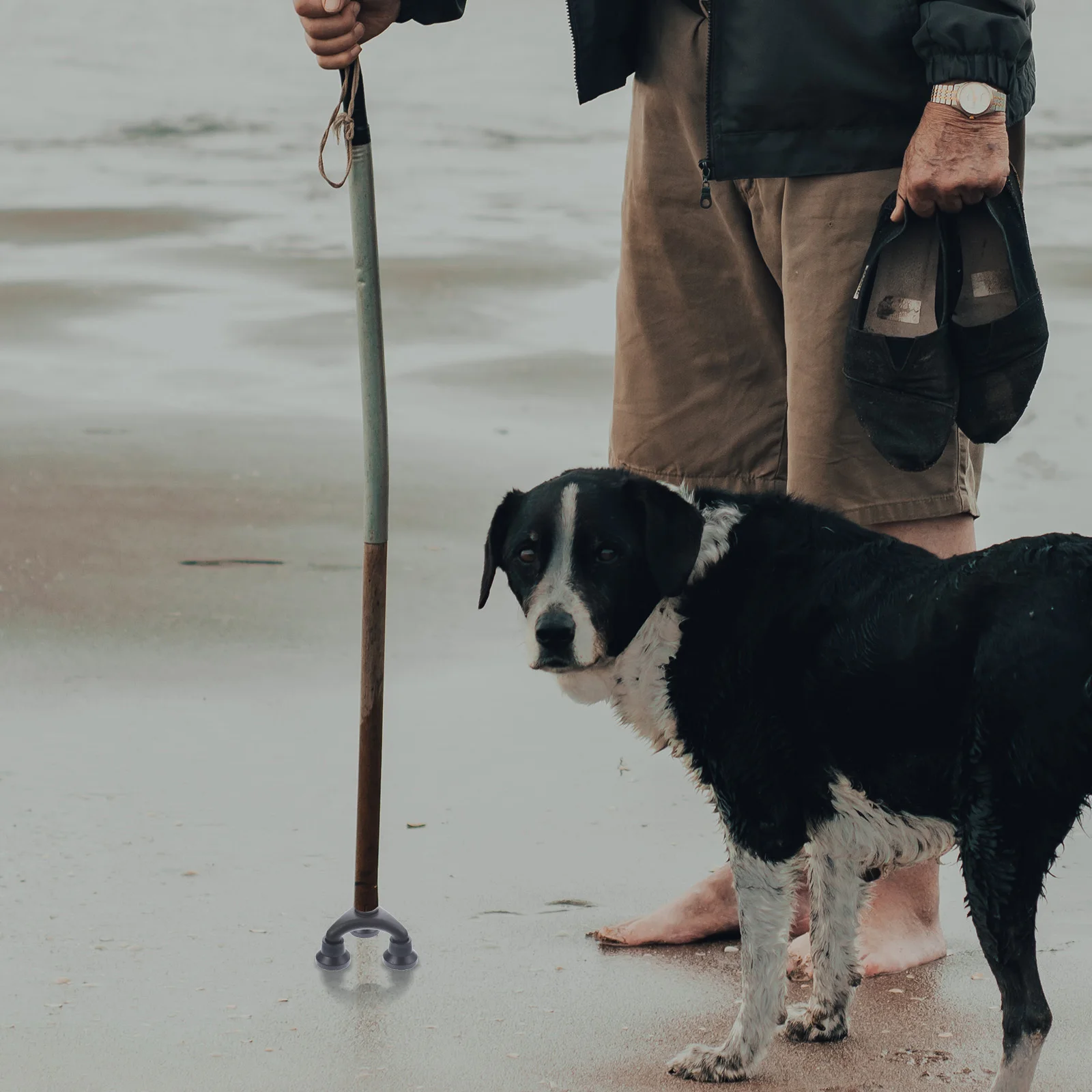 

Thick Nonstick Crutch Tip Trekking Pole Foot Base Shock Absorbing Easy Install Cane Tips for Outdoor Activities