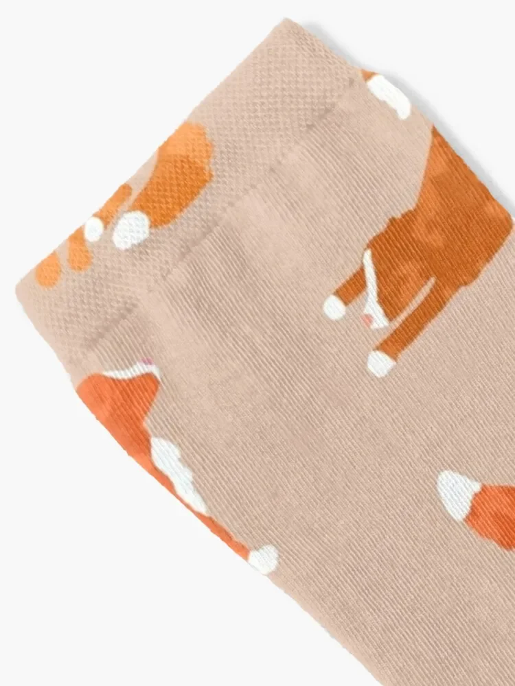 Artsy Abstract Tollers - Taupe Socks designer New year's Man Socks Women's