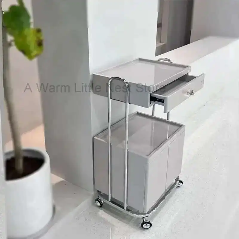 

Utility Beauty Salon Tattoo Trolley Barber Hair Salon Tool Trolleys Cosmetic Spa Salon Furniture Auxiliary Storage Cart F