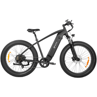 DYU King750 E-Bike 750W Motor 48V20AH Built-in Battery Mountain Snow Electric Bike 26*4.0inch Fat Tire Off-road Electric Bicycle