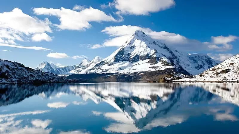 

500ml/800ml Engraving Skull Stainless Steel Cocktail Boston Bar Shaker Bar Tools Barware