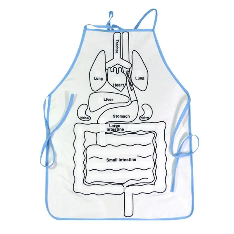 

3D Organ Apron Anatomical Apron Anatomy Organ Molds Scientific Human Body Model Anatomy Apron For Kids Boys And Girls Home