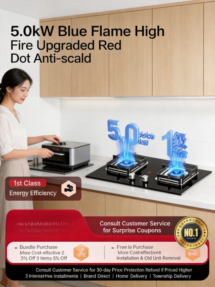 

Embedded Double Burner Gas Stove Natural Gas Liquefied Gas Anti-scald High Power Household Cooktop