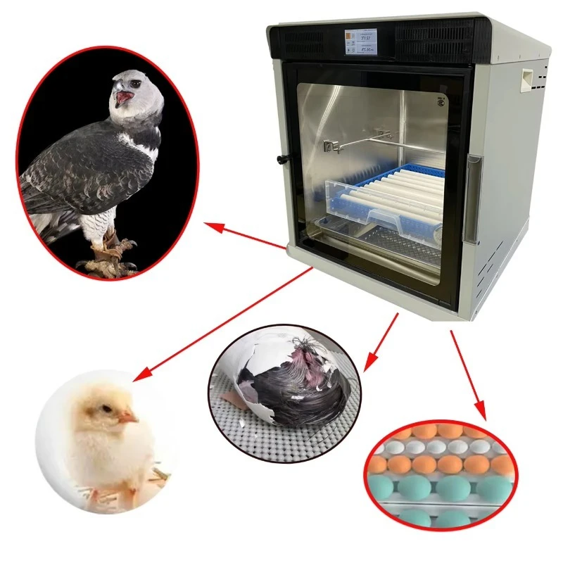 2026 Completely Automatic Animal Bird Incubator Egg Incubator Pet ICU Reptiles Hatcher Machine Bird Incubator