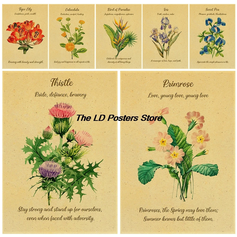 Flower Language Kraft Paper Poster Nostalgic Flower Language Illustrated Catalog Printed Art Pictures Decorative Fashion Poster