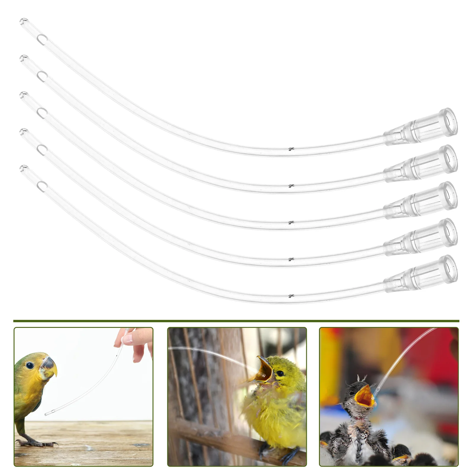 5 Pcs Baby Food Feeder Bird Feeding Hose Birds Parts Fittings Medicine Supply Pet Accessory Plastic Young Tool