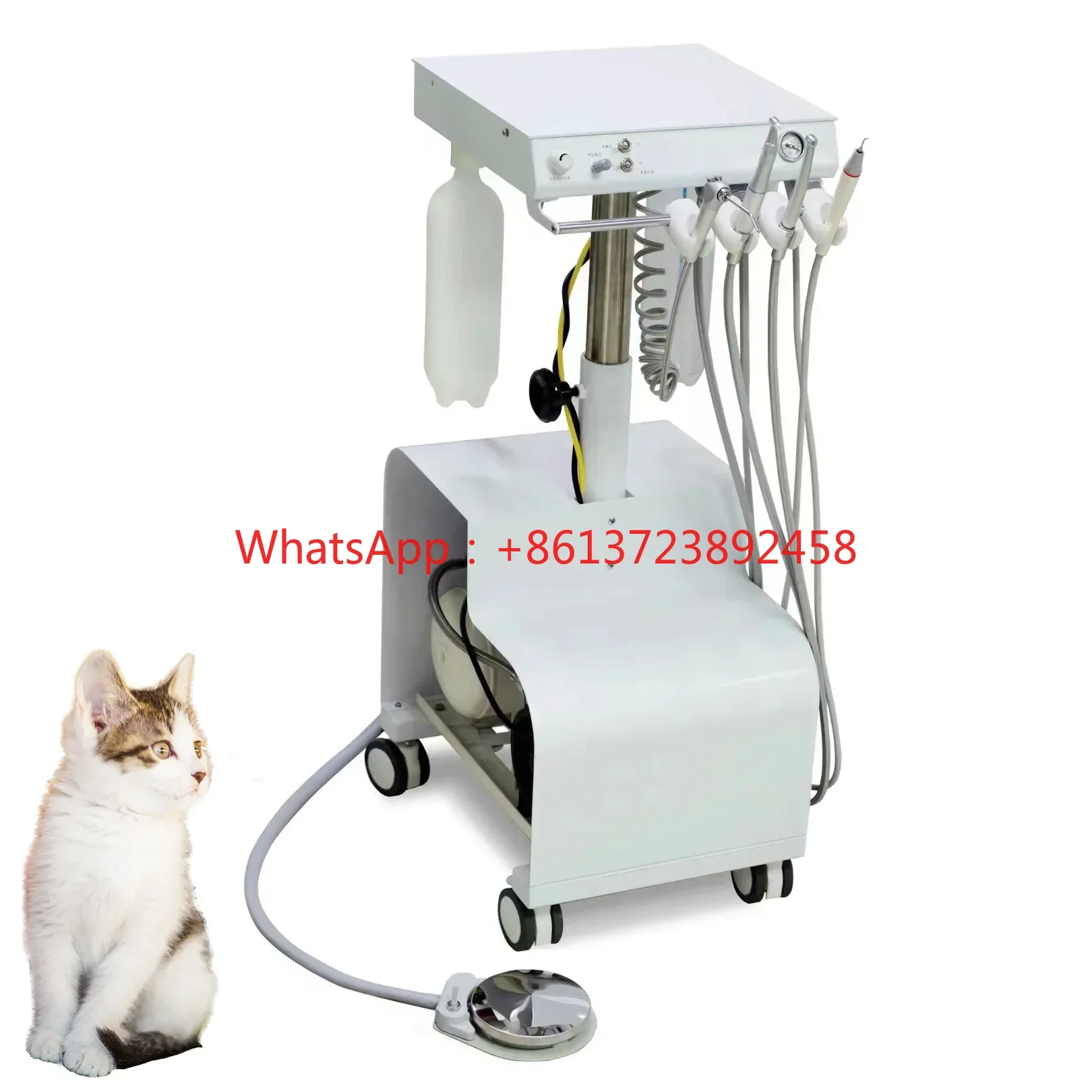 High-Quality After-Sales Medical Mobile Suitcase Mini Portable Electric Veterinary Unit