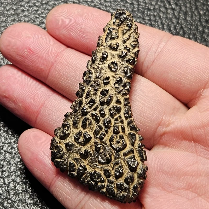 

Natural Desert Witchcraft Stone High-Frequency Gem Energy Healing Feng Shui Decorative Item