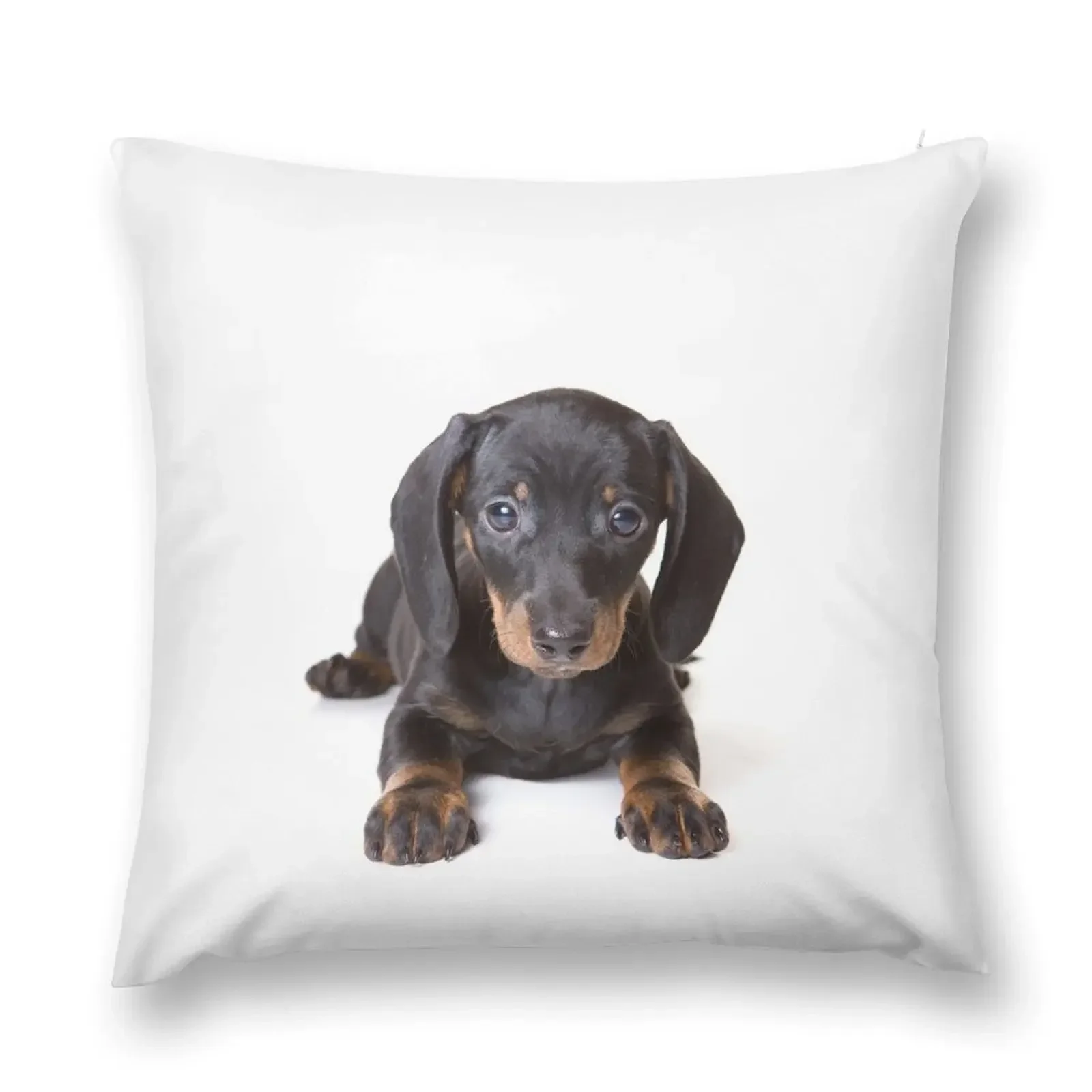 

Charming cute dachshund puppy dog Throw Pillow covers for pillows autumn pillowcase Decorative Sofa Cushions Plaid Sofa pillow
