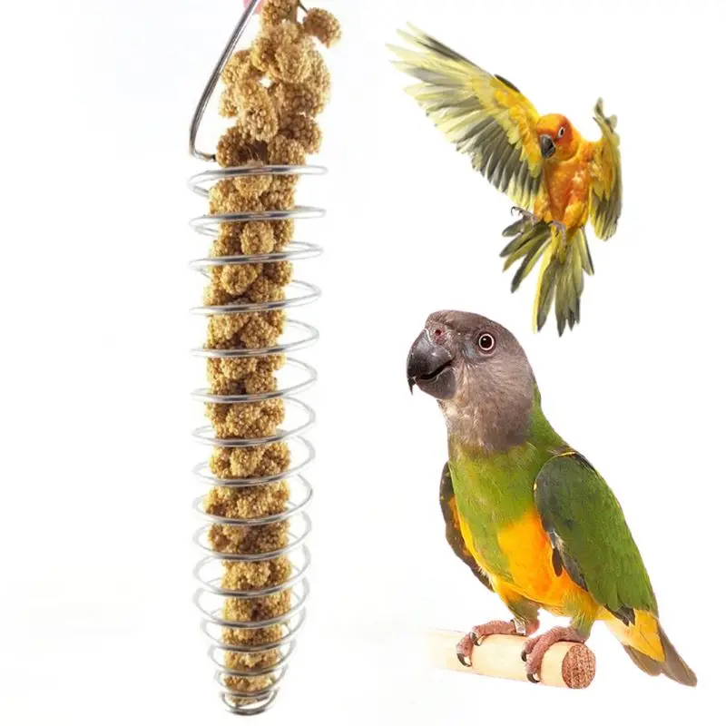 Stainless Steel Bird Parrot Feeder Food Fruits Basket Holder Foraging Equipment Bird Cage Feeding Device Birds Training Toy