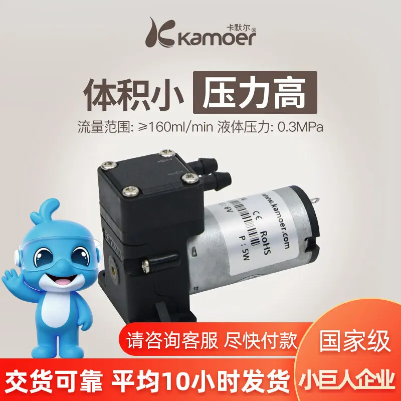 Miniature Diaphragm 12v Brush Pumping Self-priming Electric Small Liquid Pump Mini Booster Pump 24v Negative Pressure Pump