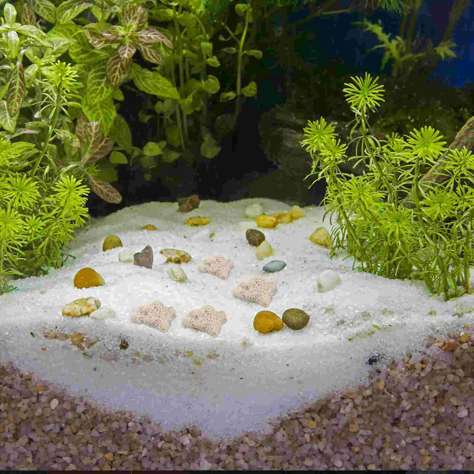 Filtr akwariowy z kruszonego materiału koralowego do żwiru kamiennego Układ akwarium słodkowodnego