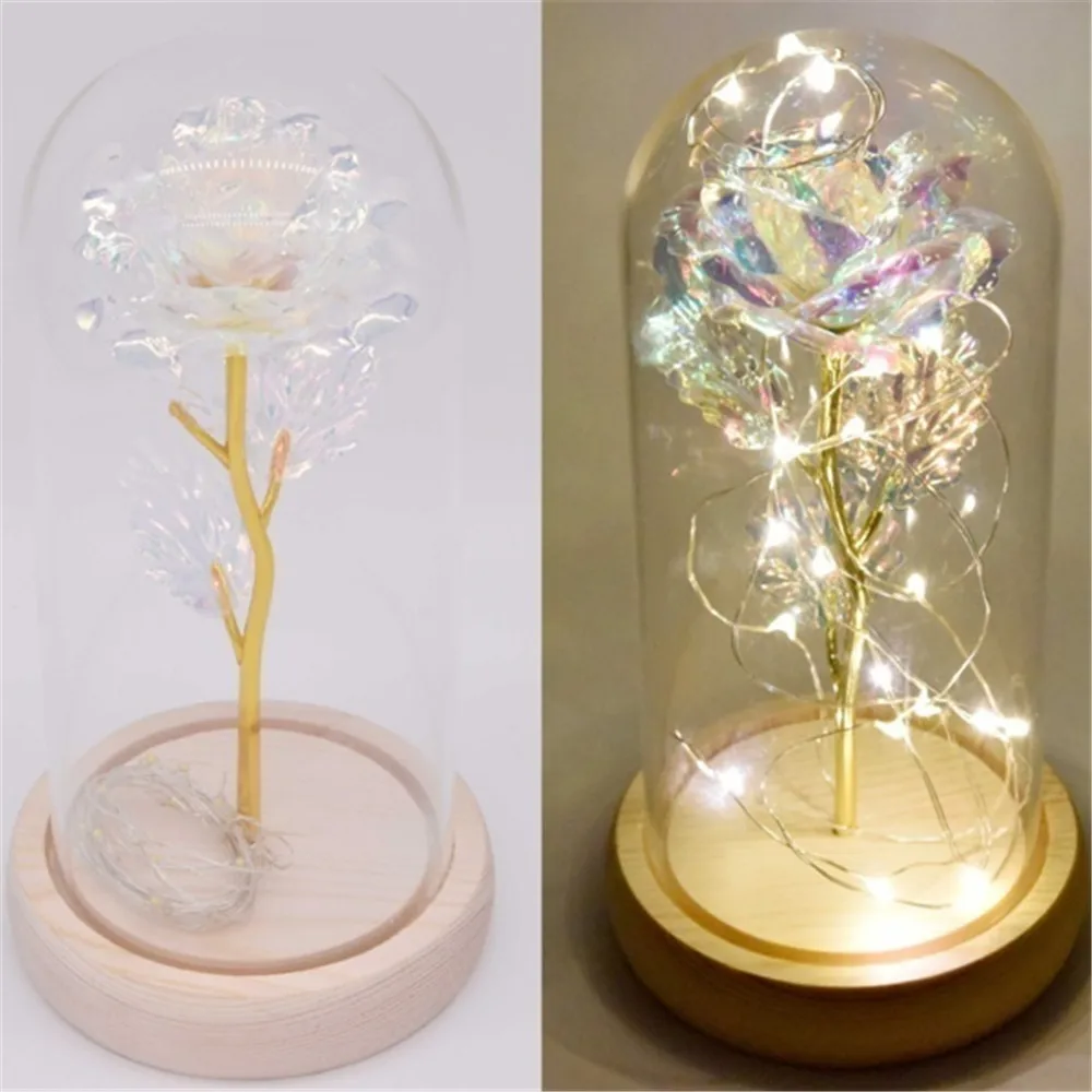 Cubierta de soporte de exhibición de tarro de vidrio Cloche, botella de terrario con Base de madera, caja de exhibición de cubierta de polvo acrílico, caja de flores inmortales