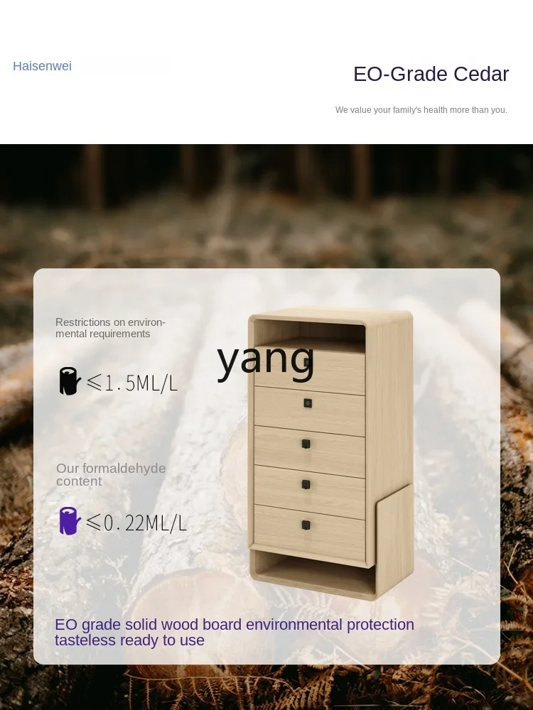 CX minimalist solid wood chest of drawers light luxury high-end living room bedroom storage locker