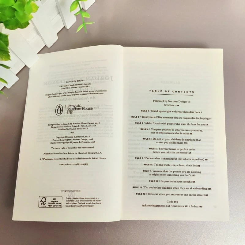 12 Regeln für das Leben von Jordan Peterson – Ein Antidote to Chaos, englisches Buch, Selbsthilfe-Leitfaden für moderne Probleme und persönliche Entwicklung