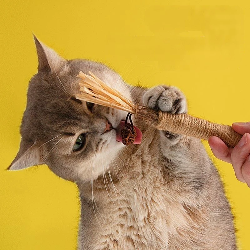 5 Stück Haustier interaktive Kau stangen Katzen zähne Backenzahn Reinigung Spielzeug Polygonum Holz Gall Nuss Bast Silber Reben Stick Hanf Seil