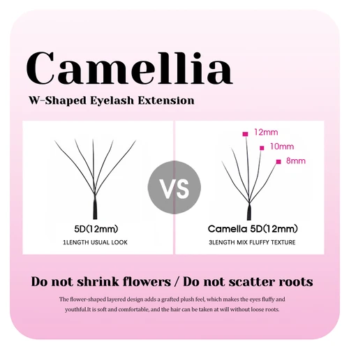 Imagen 2 del producto Nueva llegada Camelia 3D 4D W pestañas en forma de 0,07mm C D Curl extensión de pestañas de floración rápida pestañas ligeras y esponjosas de MASSCAKU
