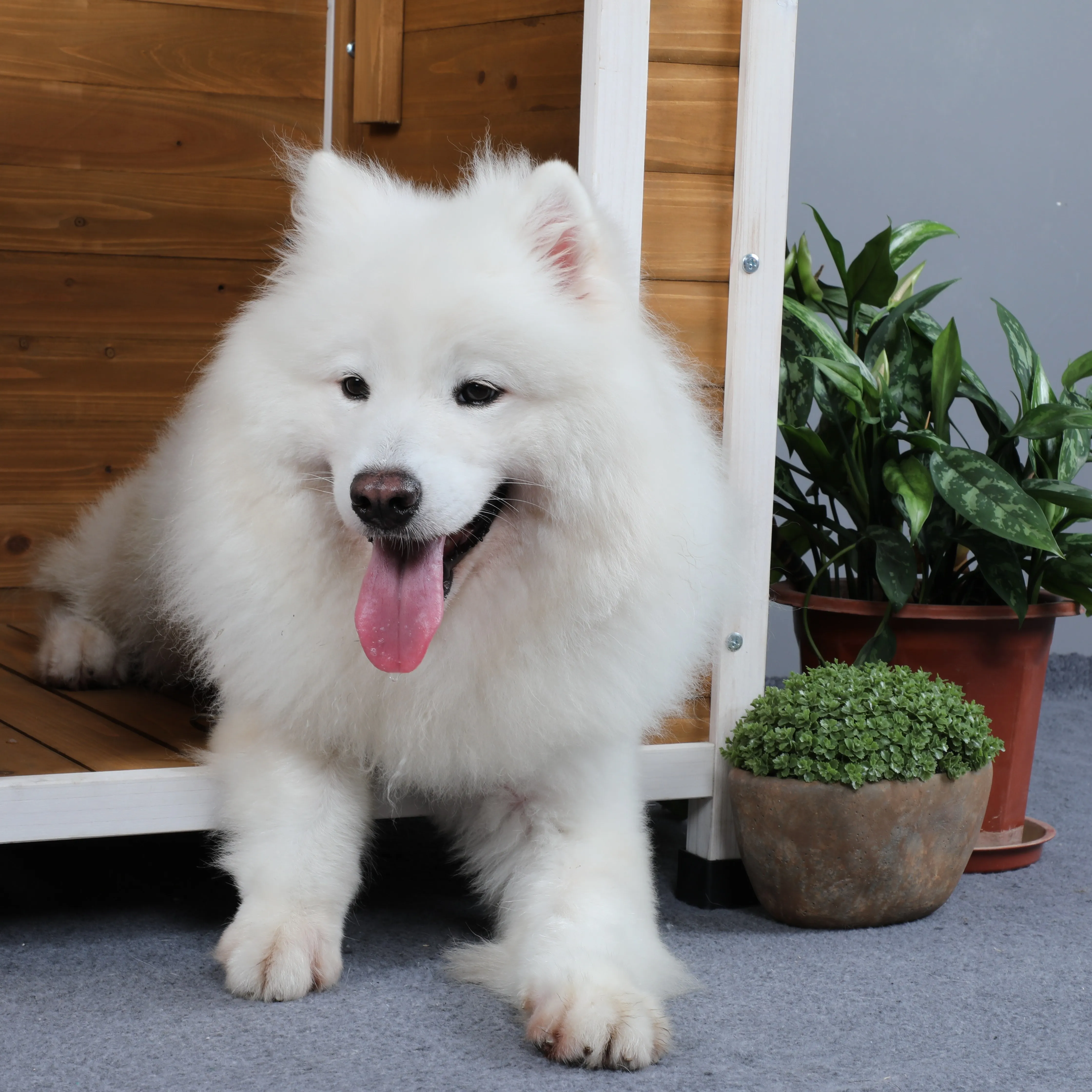 Yjq outdoor dog house kennel medium and small dog and cat house weatherproof, universal in all seasons - view 4