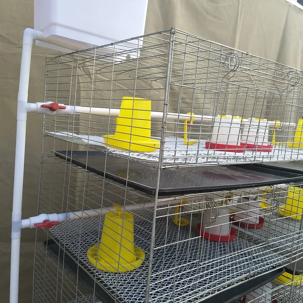 Moderne Baby-Kükenfutter, Geflügelfarmausrüstung, H-Typ, automatisches Batterie-Broiler-Hühnerkäfig-System für 1000 Vögel