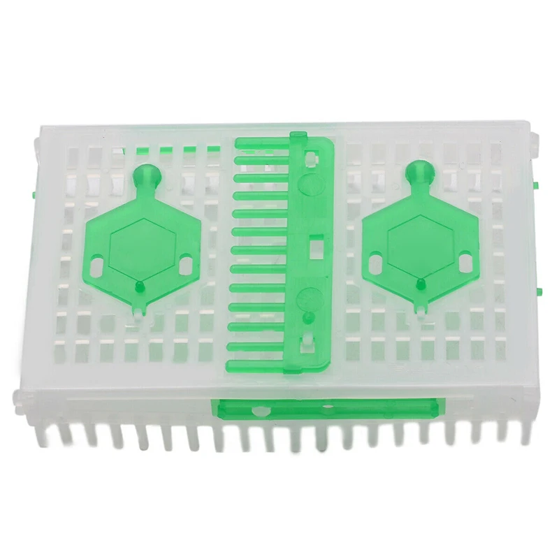 Jaula de plástico para agujas de abeja reina, para electrodomésticos de apicultor, equipo receptor adecuado para tareas de gestión de abejas reina