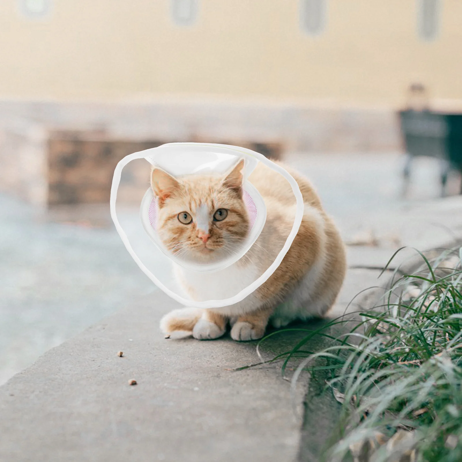 طوق استعادة القطط، مخروط جراحي قابل للتنفس ومضاد لللعق للحيوانات الأليفة، حماية من الجروح بعد العملية، خفيف الوزن ومريح