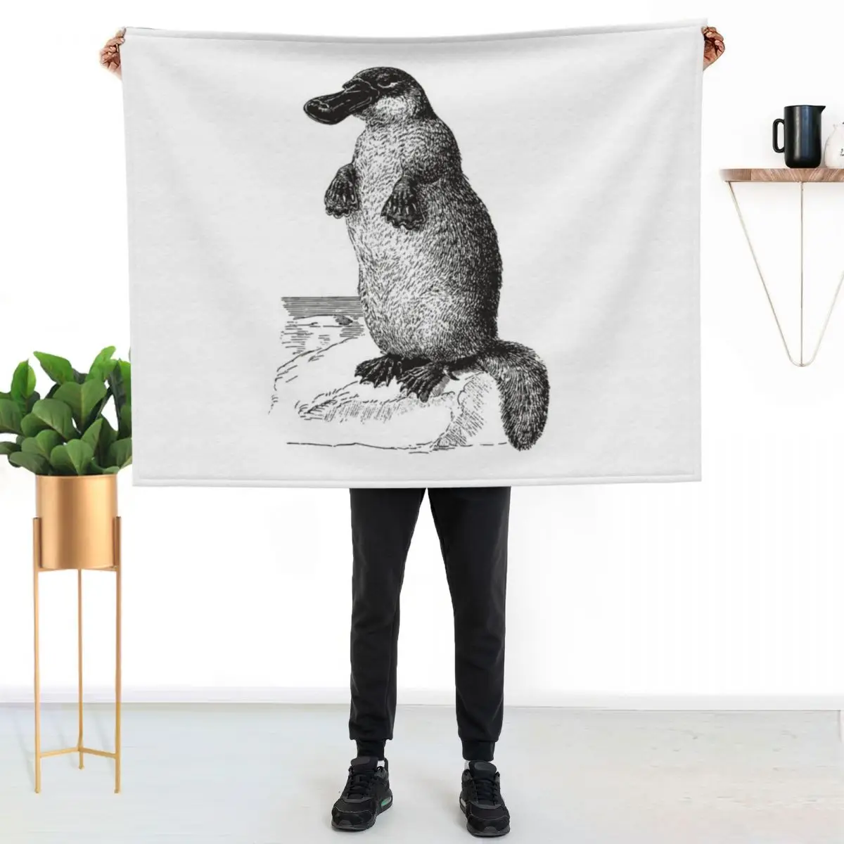 platypus Throw Blanket Stain Resistant Cozy Warm Blanket