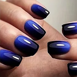 24Pcs Short Size French Blue Black Gradient Classic Versatile Girls Women Full Coverage Wearable Fake Nails Set
