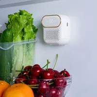 New Refrigerator Deodorizing Sterilizer Household Kitchen Ozone Generator Air Purifier Keeping Fresh Rechargeable Deodorant