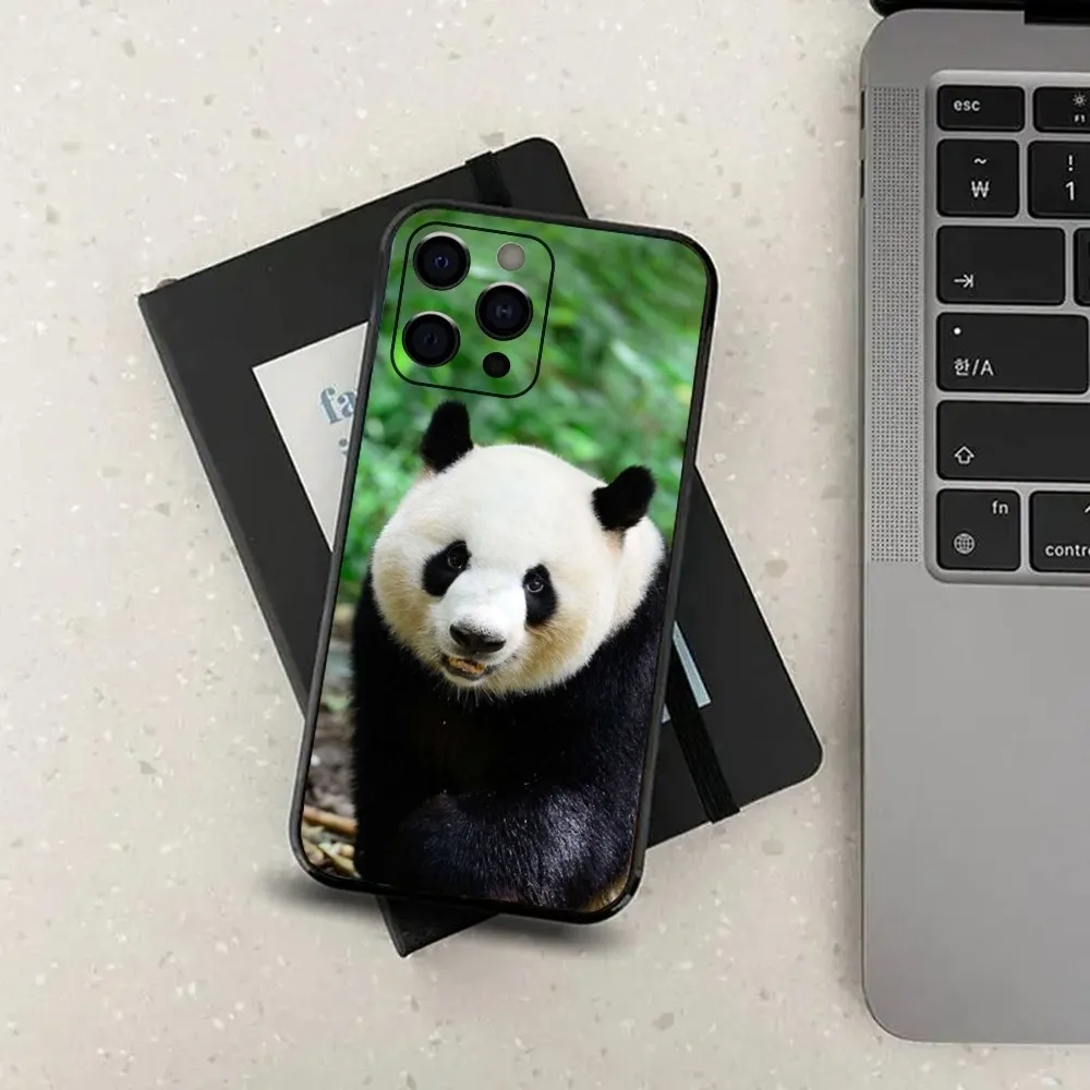 Cute Fubao Panda Animal Phone Case For Apple iPhone 15,14,13,12,11,Pro,X,XS,Max,XR,Plus,Mini Soft Black Cover