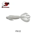 PA12
