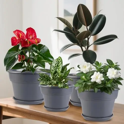 أوعية نباتات بلاستيكية مقاس 8 بوصات، 4 عبوات مع تصريف وصحون