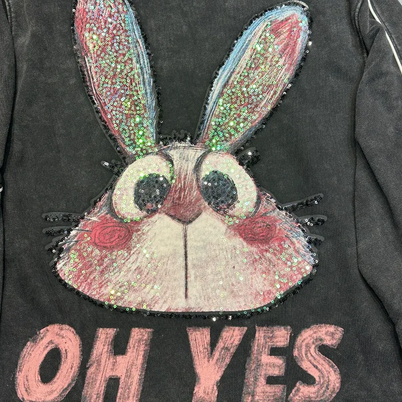 2025 خريف جديد الصناعة الثقيلة جديد الترتر طباعة الكرتون الأرنب طاقم الرقبة البلوز السيدات فضفاضة عادية لطيف معطف هوديس #5